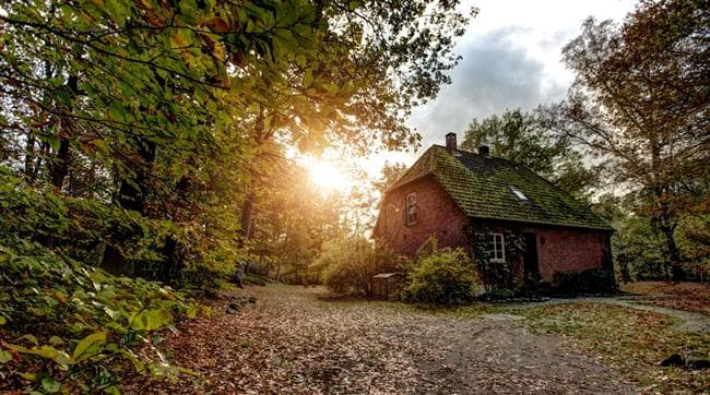 Ferienhaus-Forsthaus