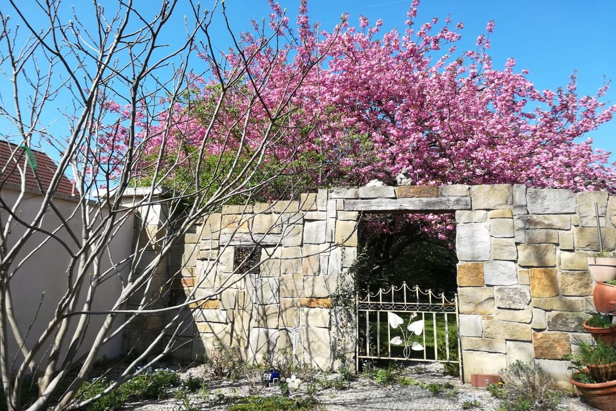 Ferienwohnung Fischer vorderer Garten