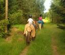 Ponyreiten im Wald