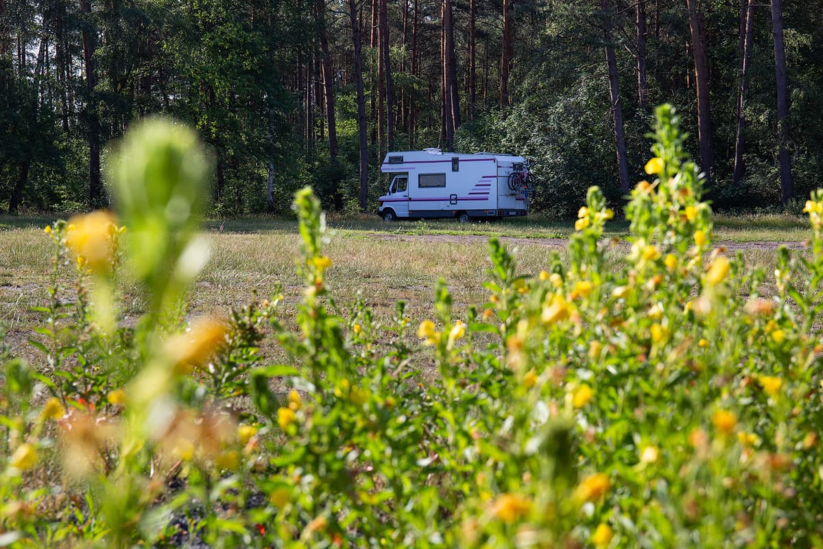 Wohnmobil-Stellplatz Hermannsburg - Lotharstraße