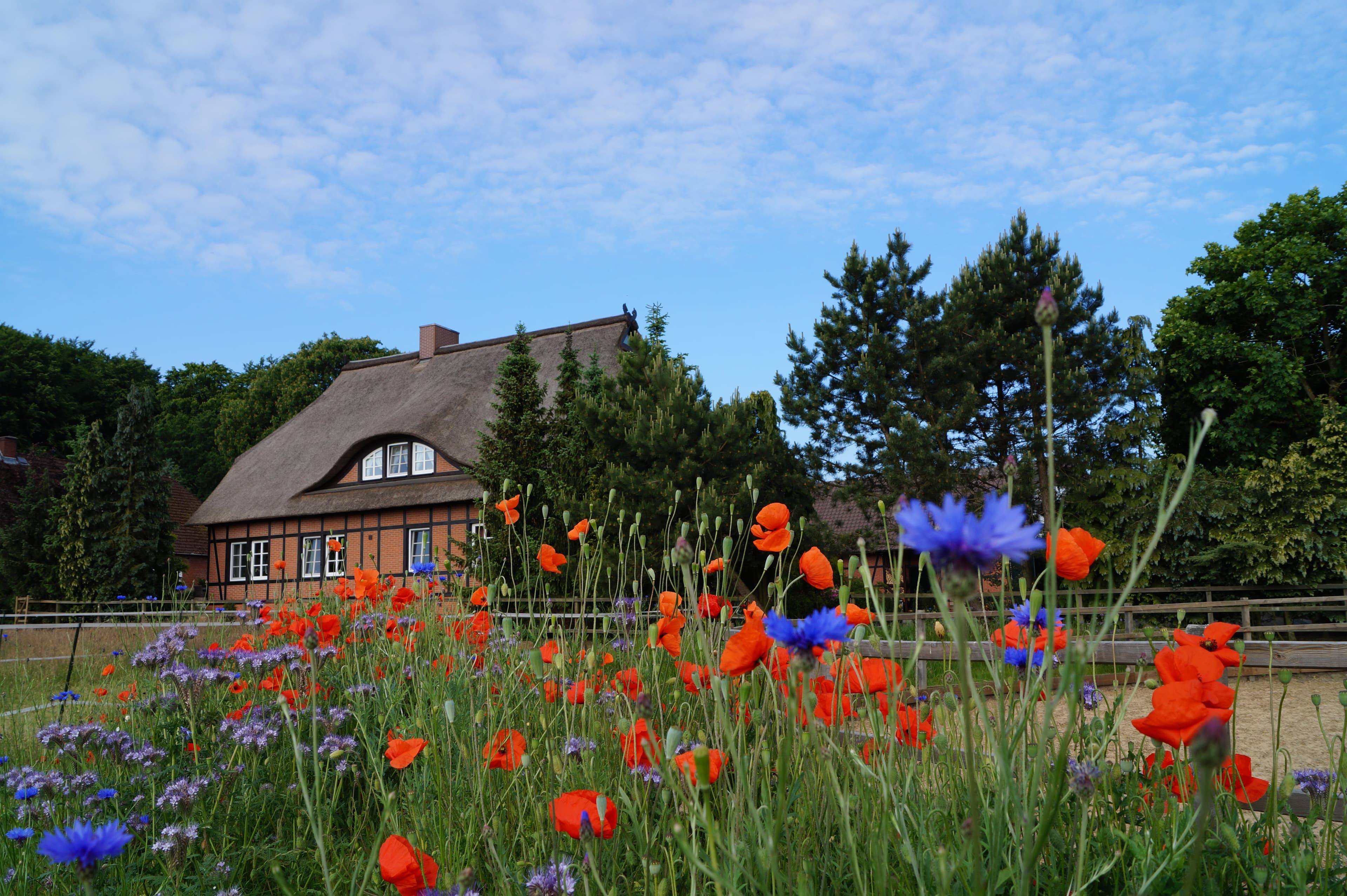 Außenansicht Pension Buchenhof Nordheide