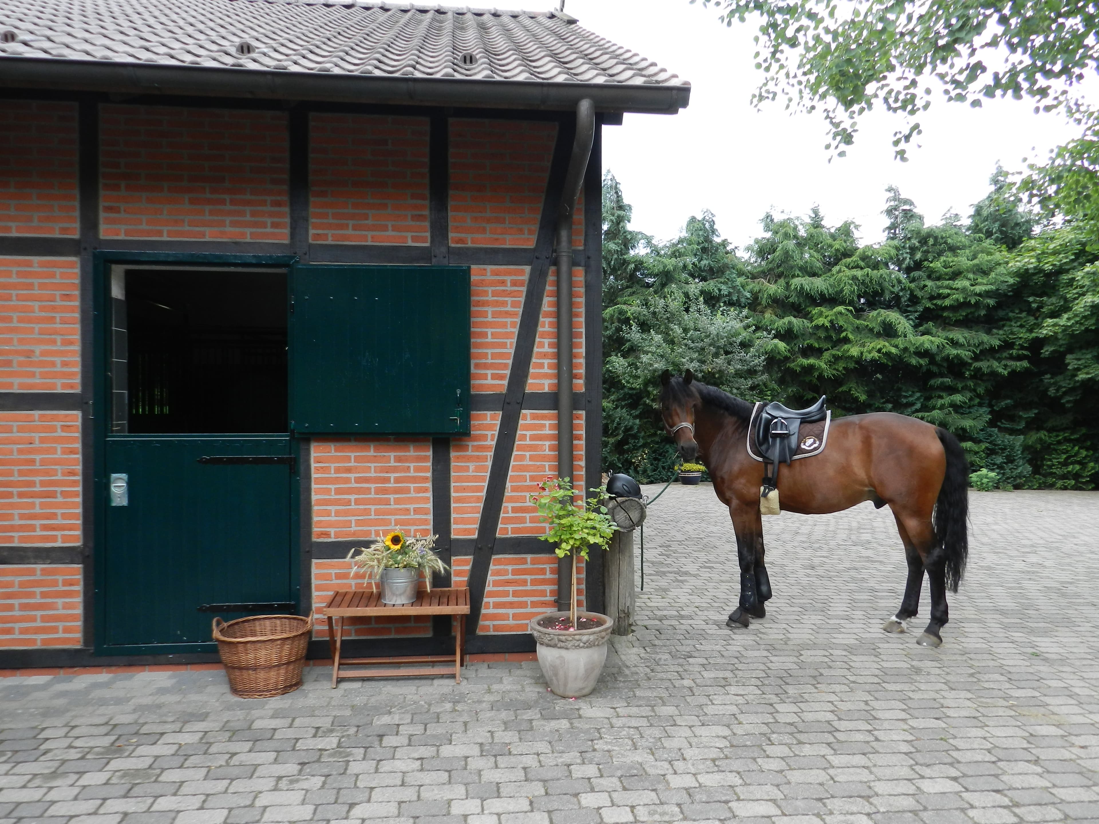 Pension Buchenhof Nordheide