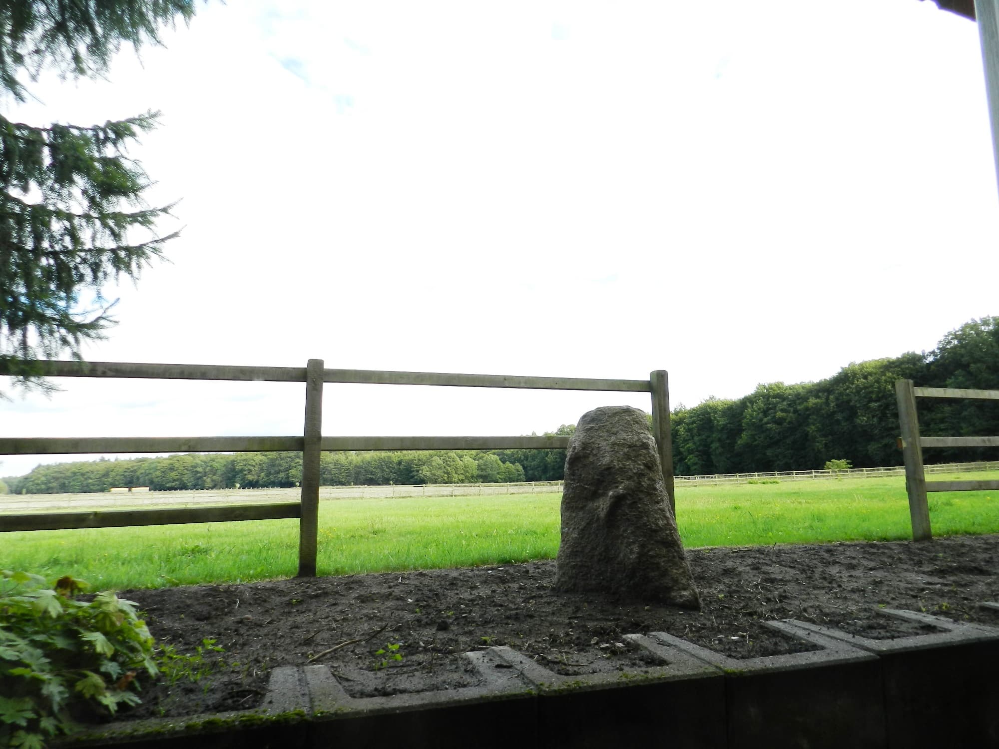 Pferdekoppel Ferienwohnung Weideblick Buchenhof Nordheide 