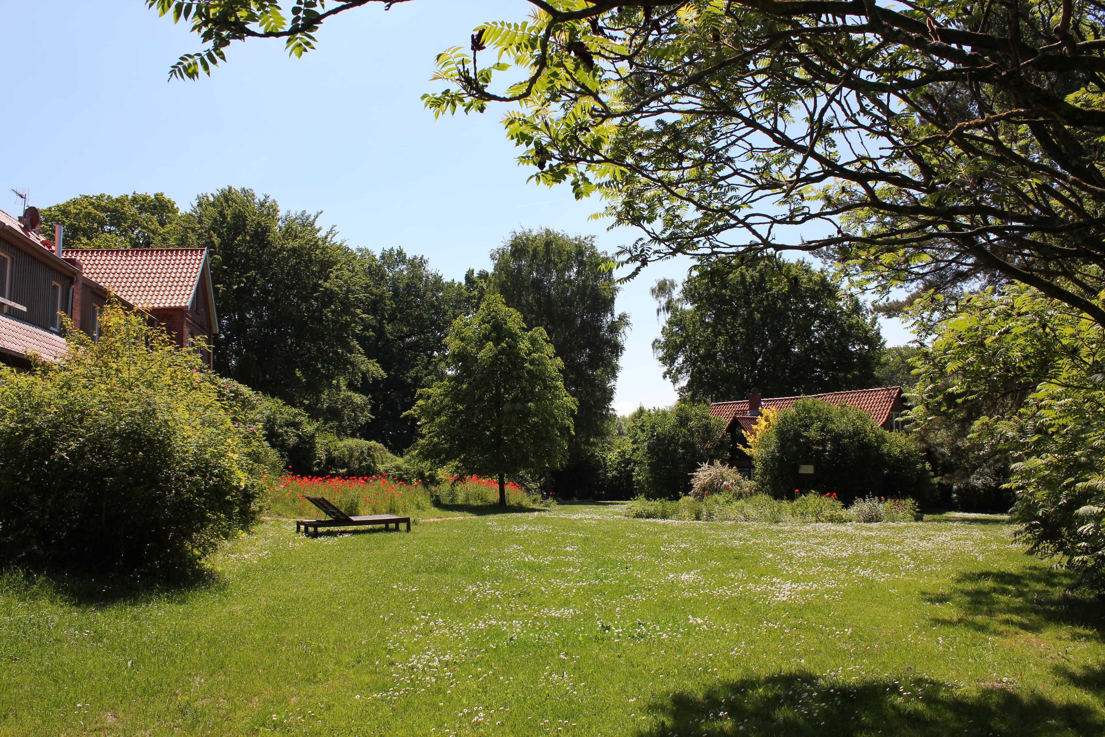 Garten Hof Rose 