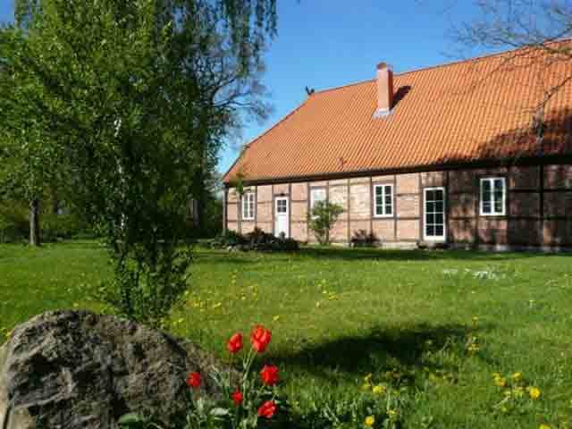 Hof Rose - garten