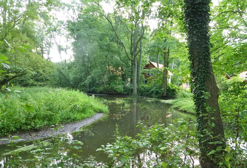 Fluss an der Woltersburger Mühle