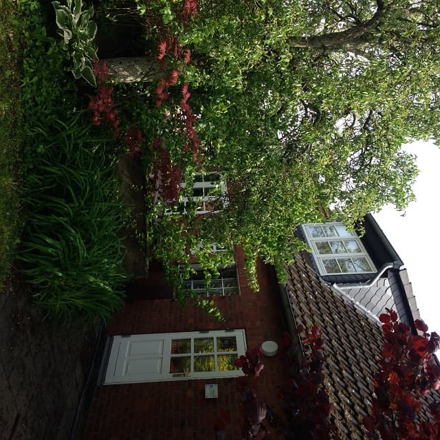 Ferienhaus Wiesengrund