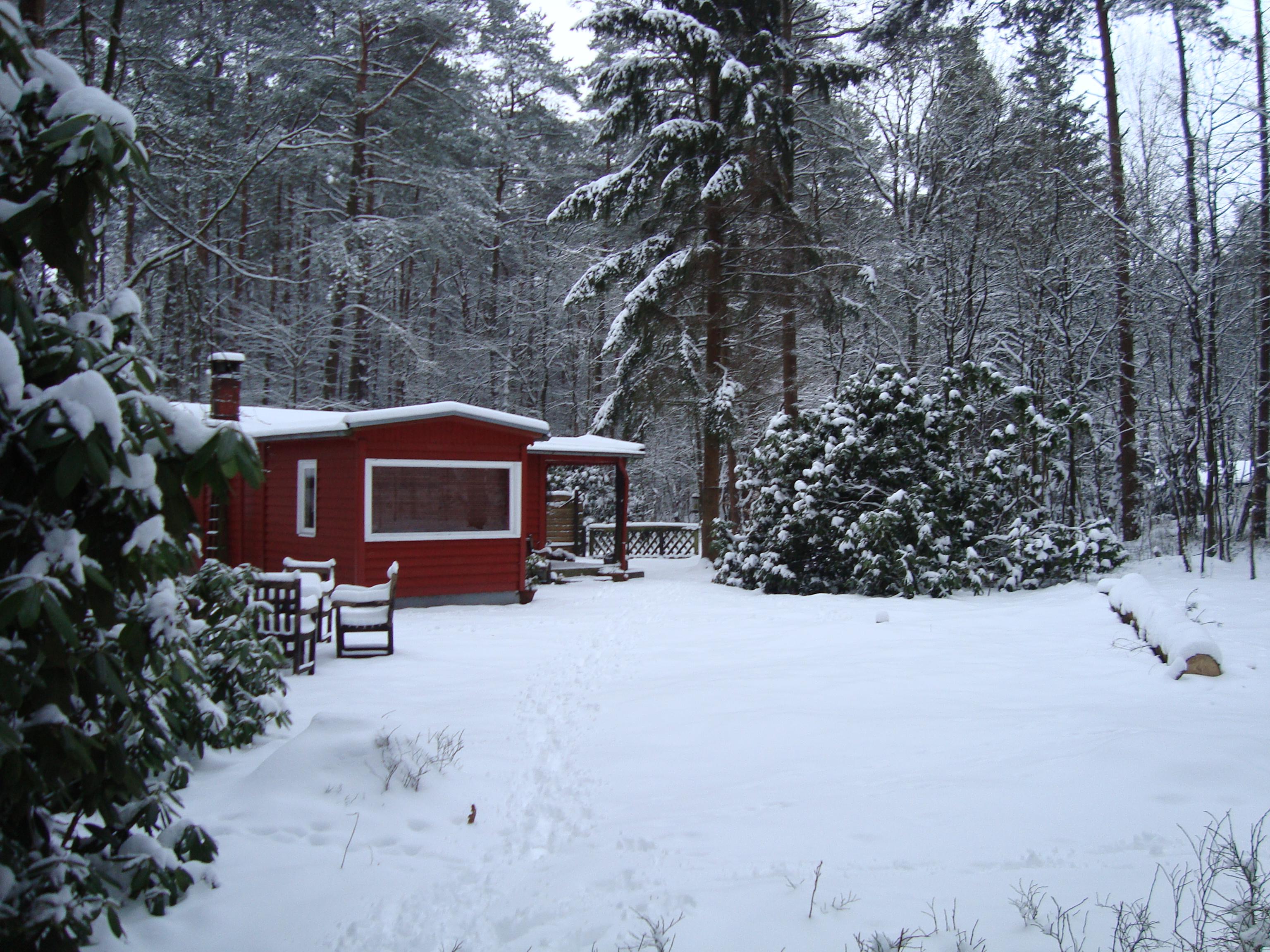 Traumwaldhaus im Winter