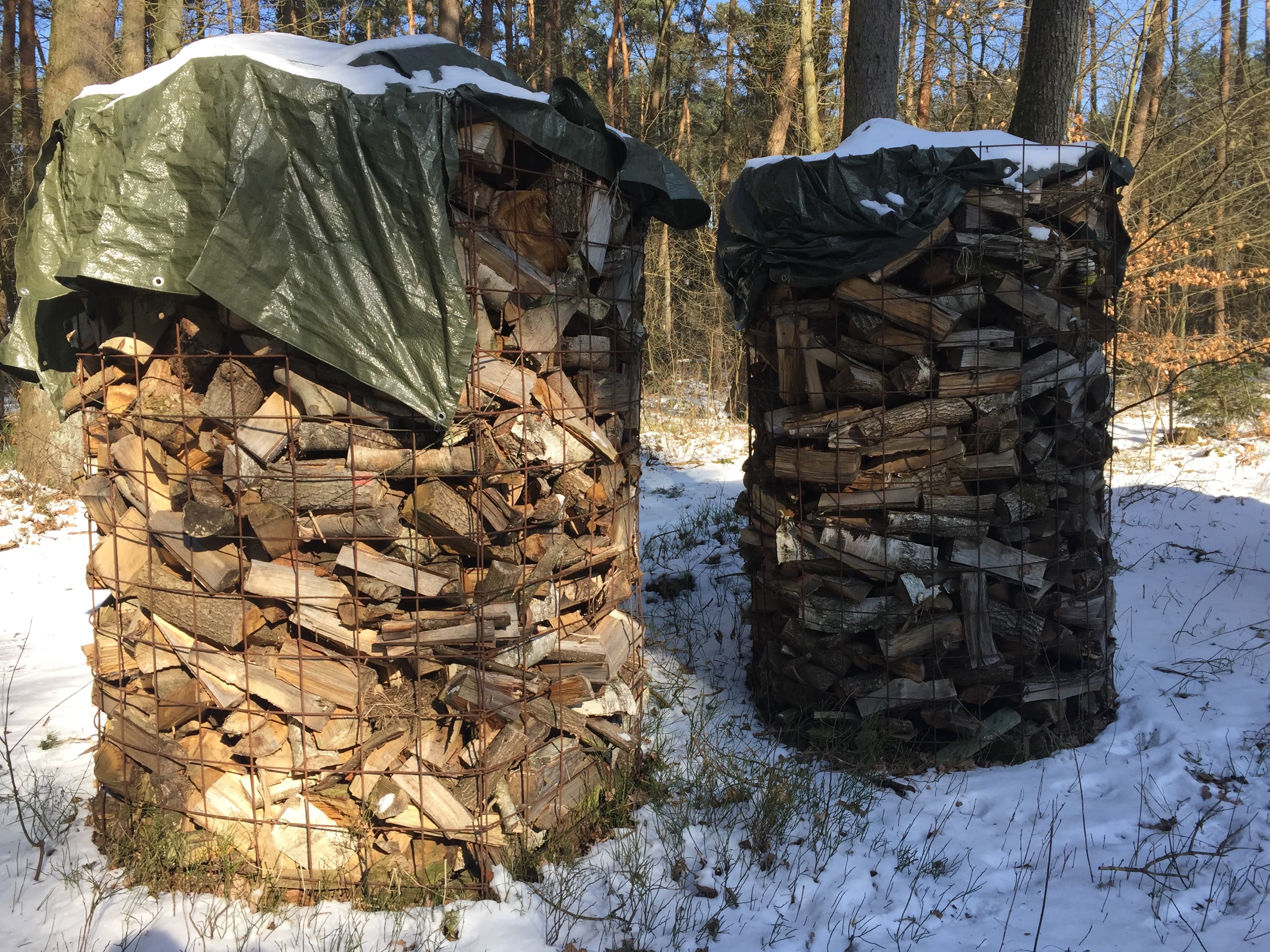 Winter Traumwaldhaus