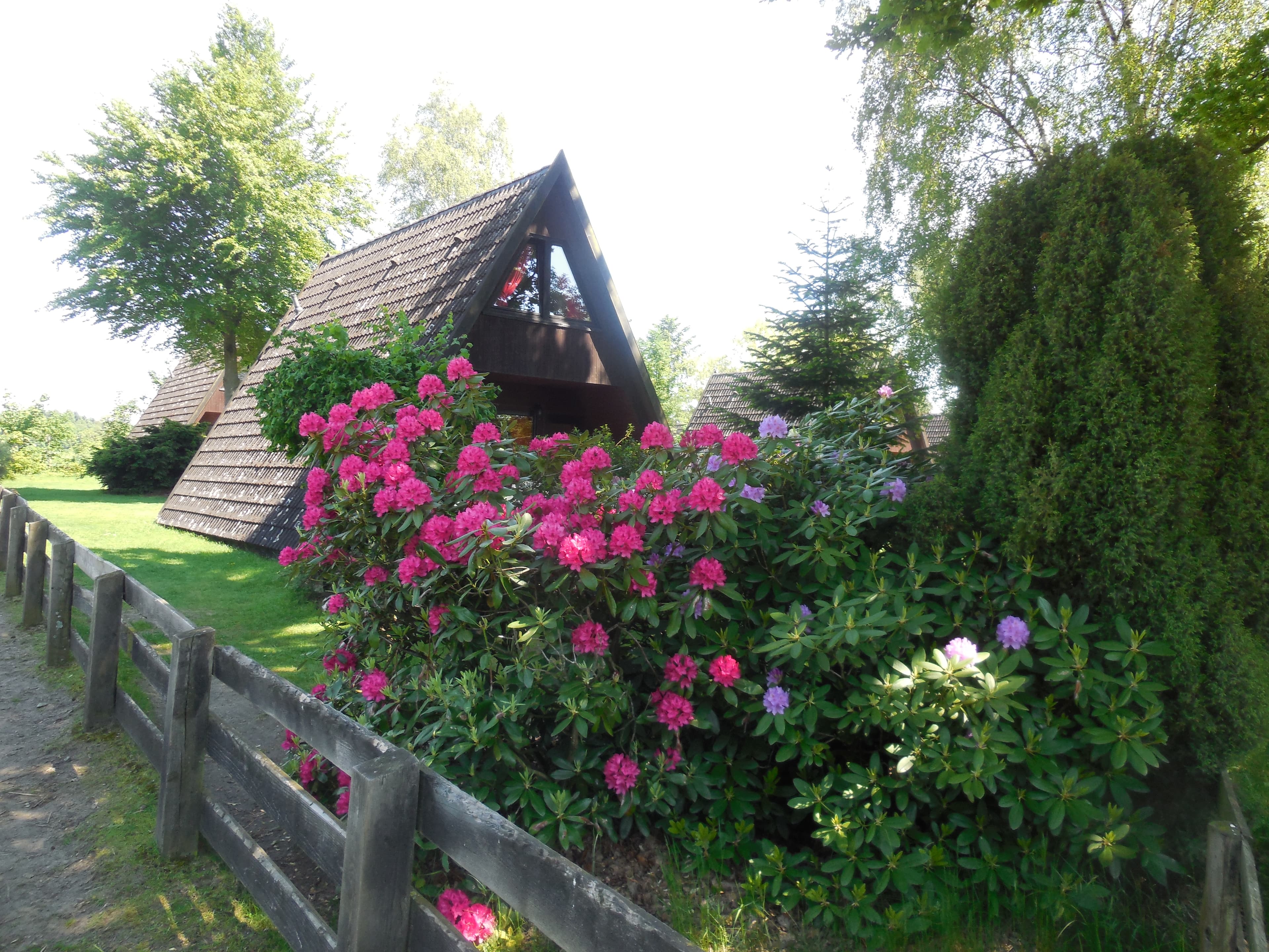 Garten Eitzmanns Ferienhäuser Düshorn