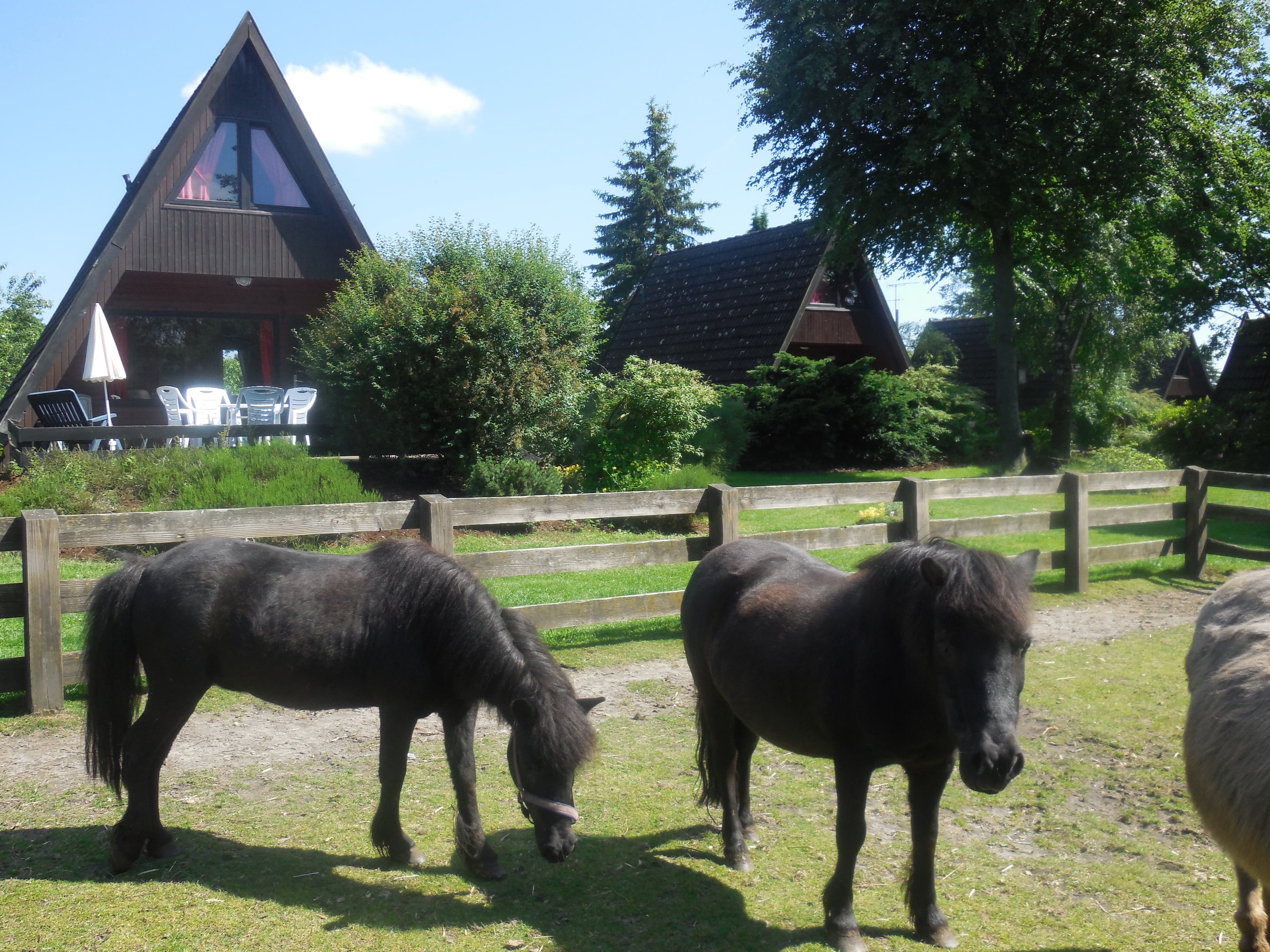 Koppel Eitzmanns Ferienhäuser Düshorn