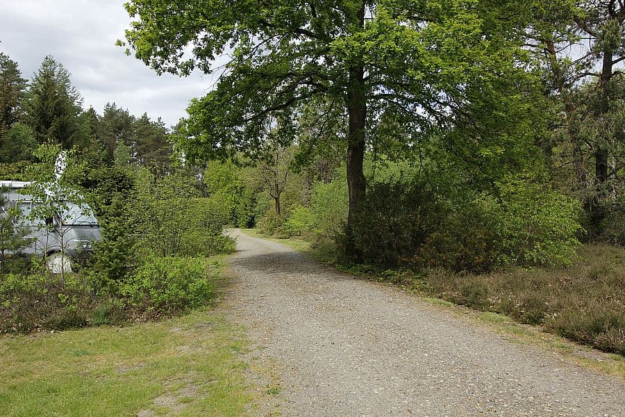 Stellplatz gegenüber einer kleinen Heidefläche