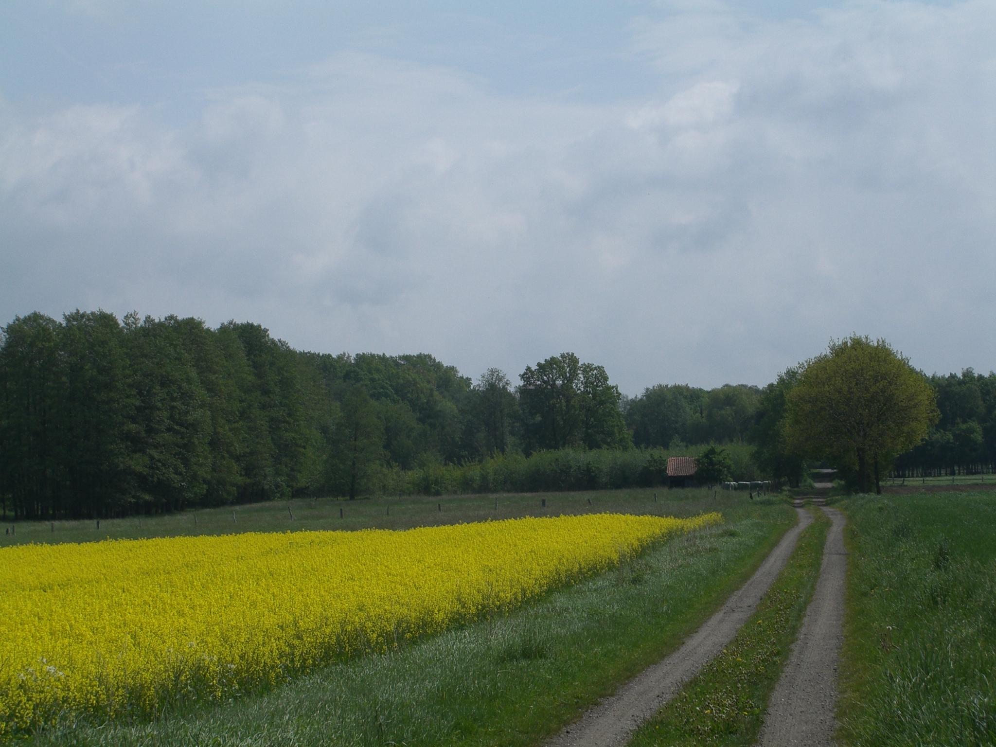 Landschaft westlich von Hermannsburg