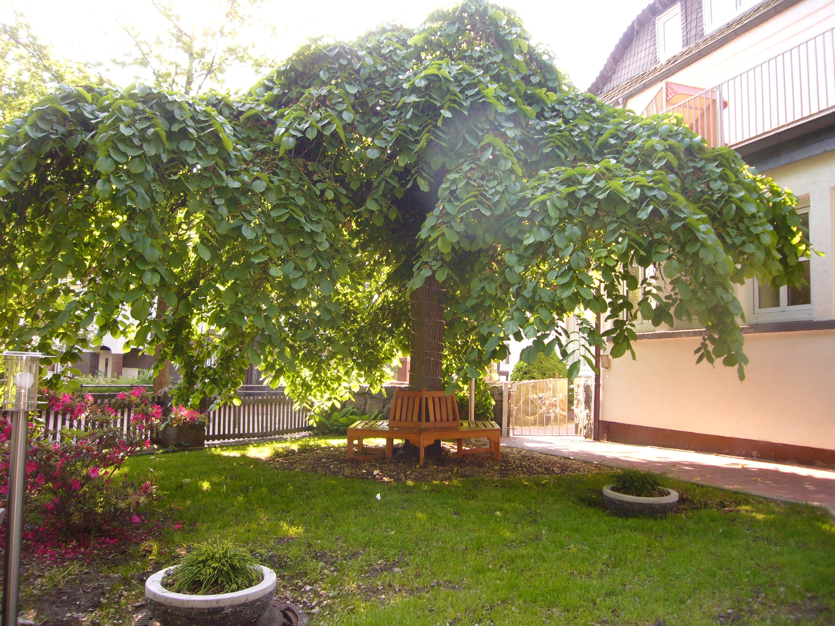 Garten des Hotels Stadt Munster in Munster
