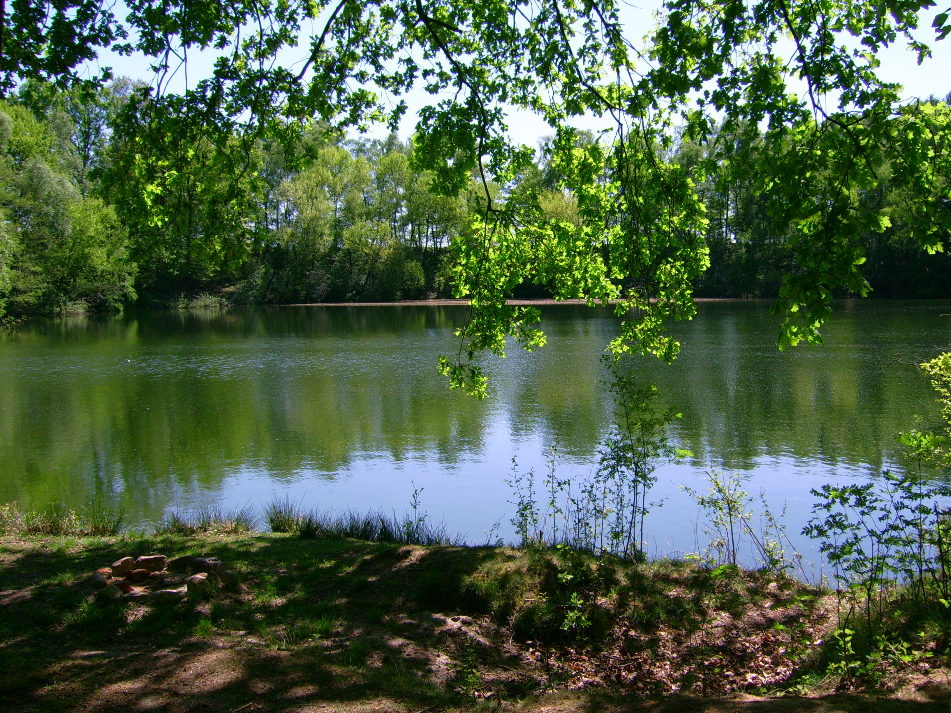 See bei den Ferienwohnungen Gut Grasbeck in Walsrode