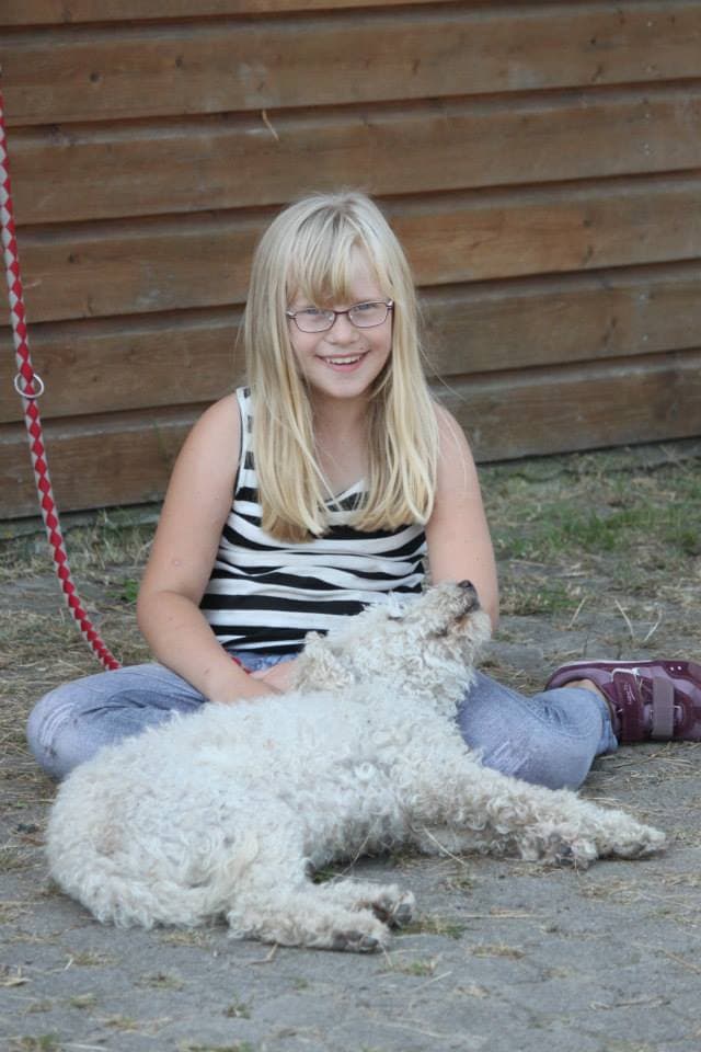 Hundekuscheln auf der Kleinen Farm und Co in Tostedt
