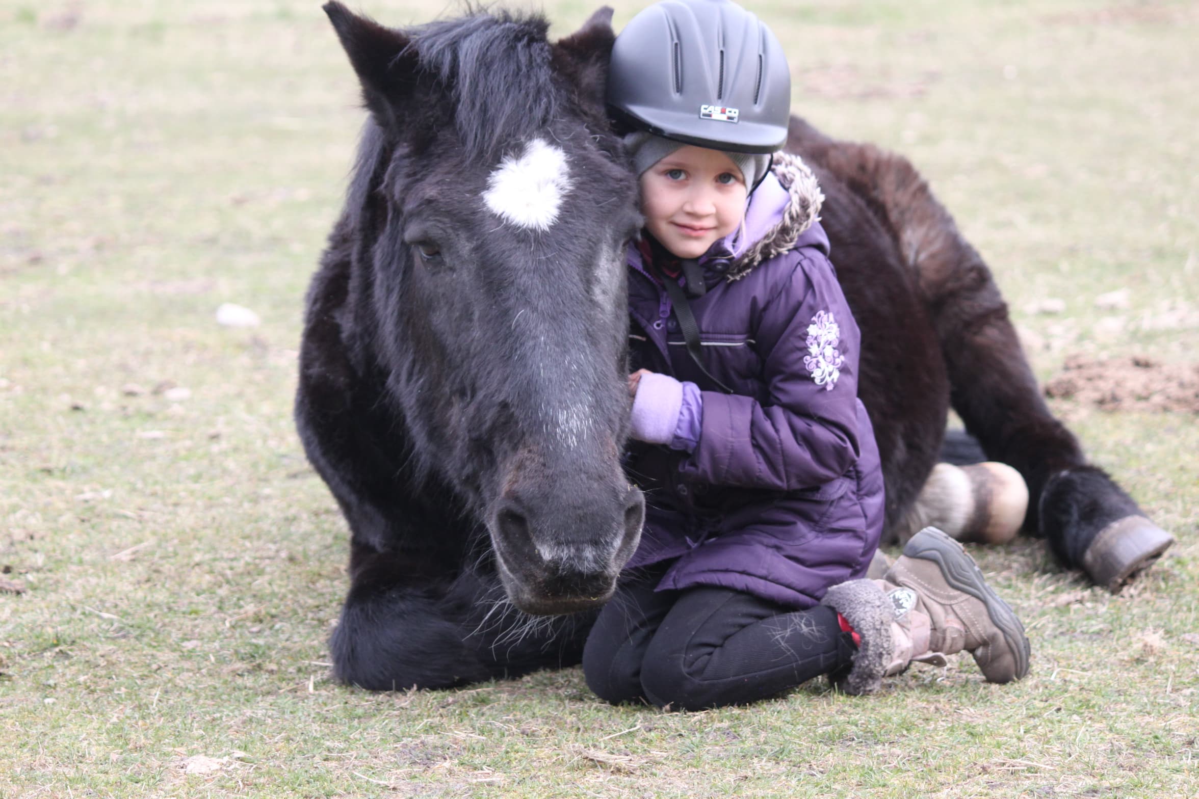 Pony Lucky der Kleinen Farm und Co in Tostedt