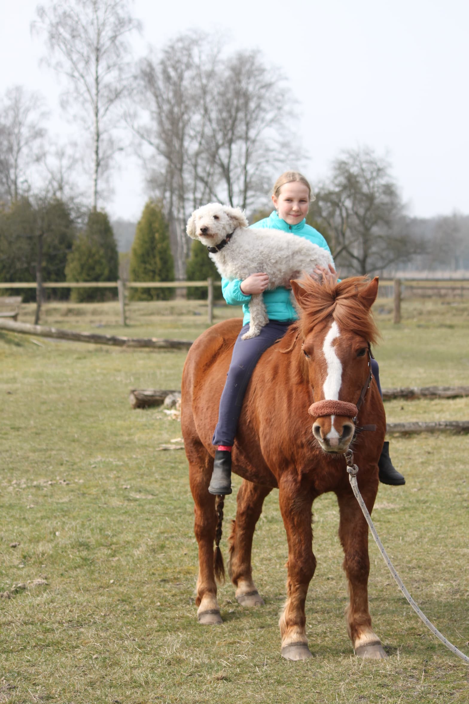 Fritzi mit Monk auf der Kleinen Farm und Co in Tostedt