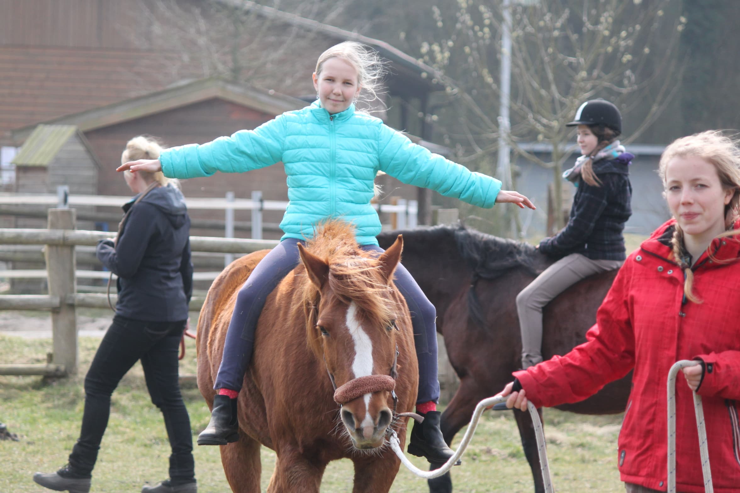 Reiten auf der Kleinen Farm und Co in Tostedt