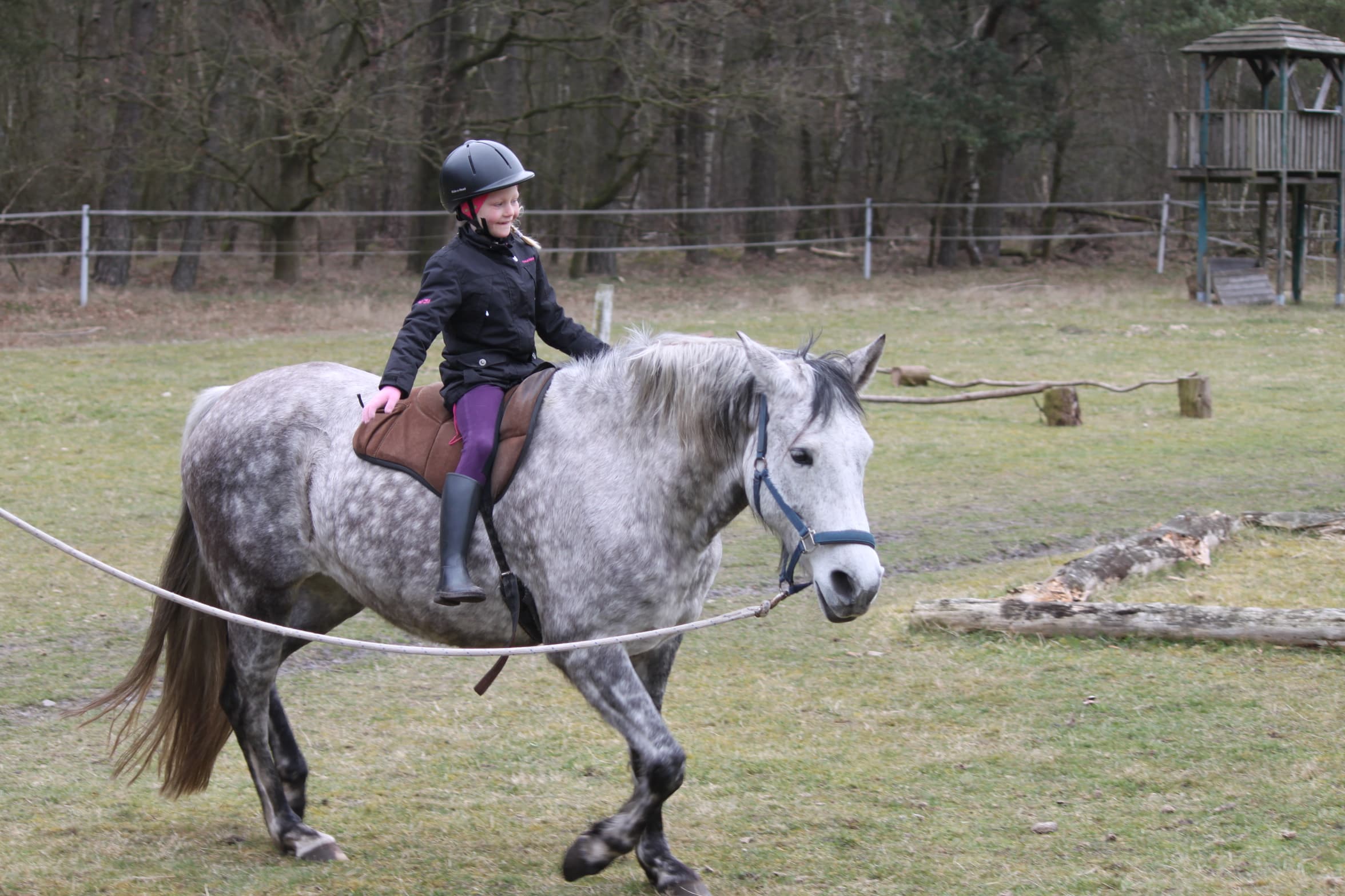 Pferd Aziza auf der Kleinen Farm und Co in Tostedt