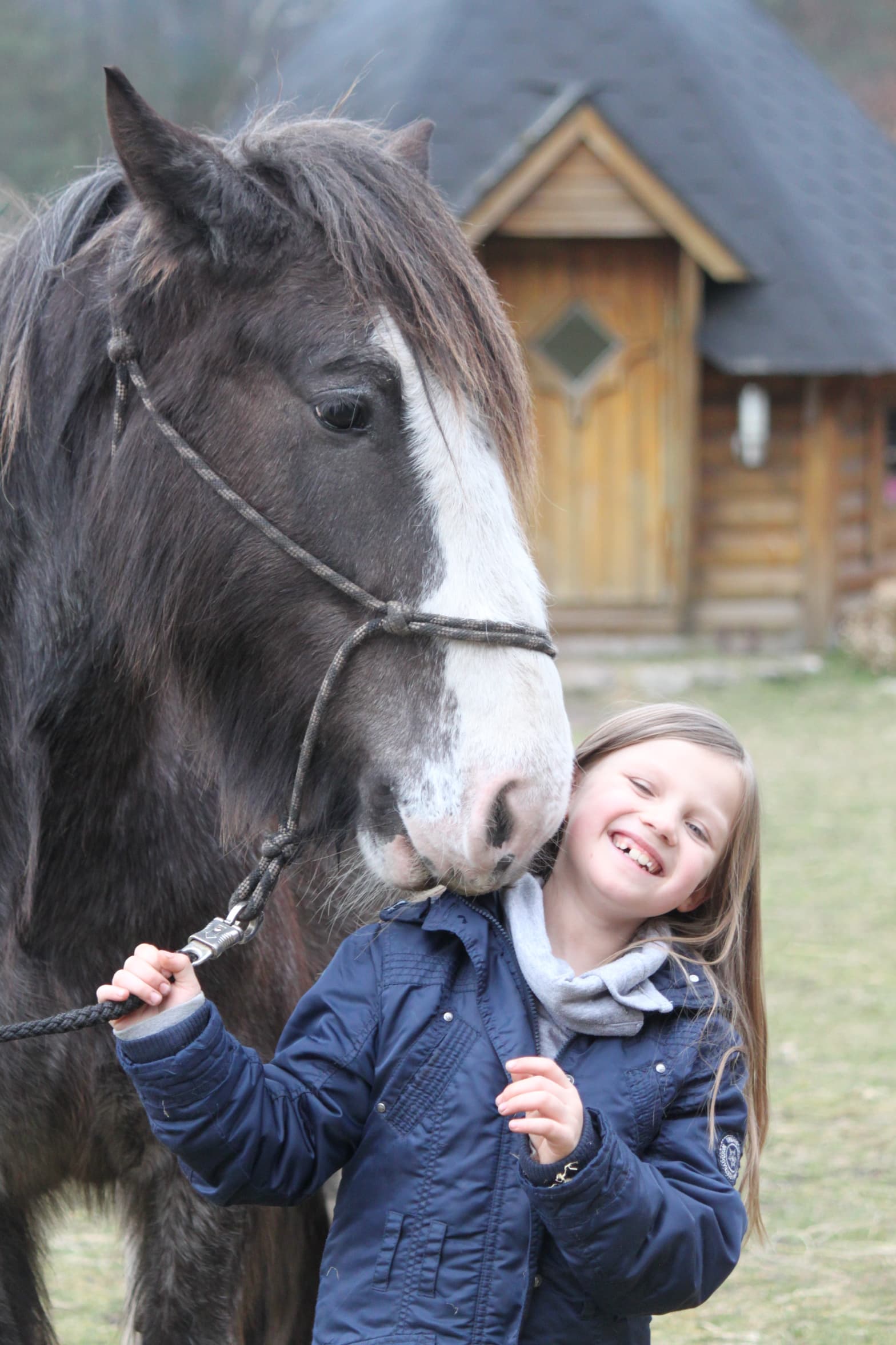 Pferd George auf der Kleinen Farm und Co in Tostedt