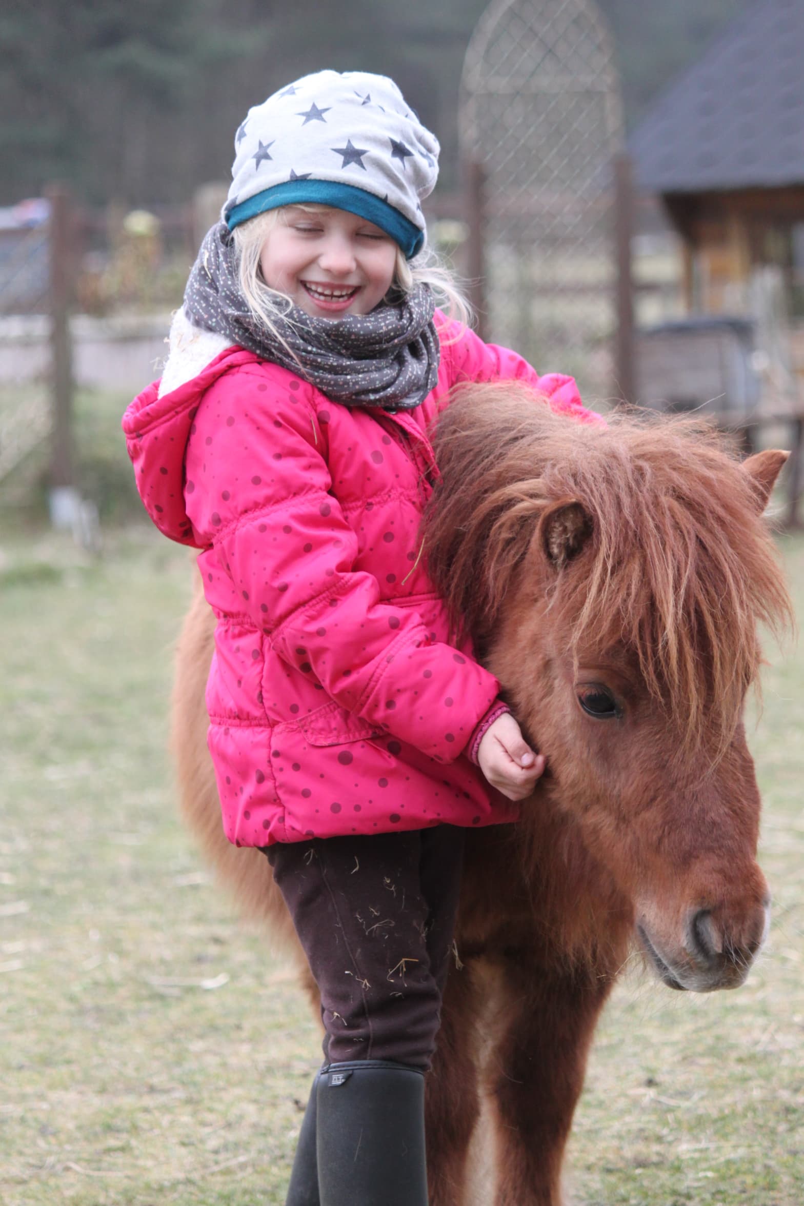 Minishetty Svala der Kleinen Farm und Co in Tostedt