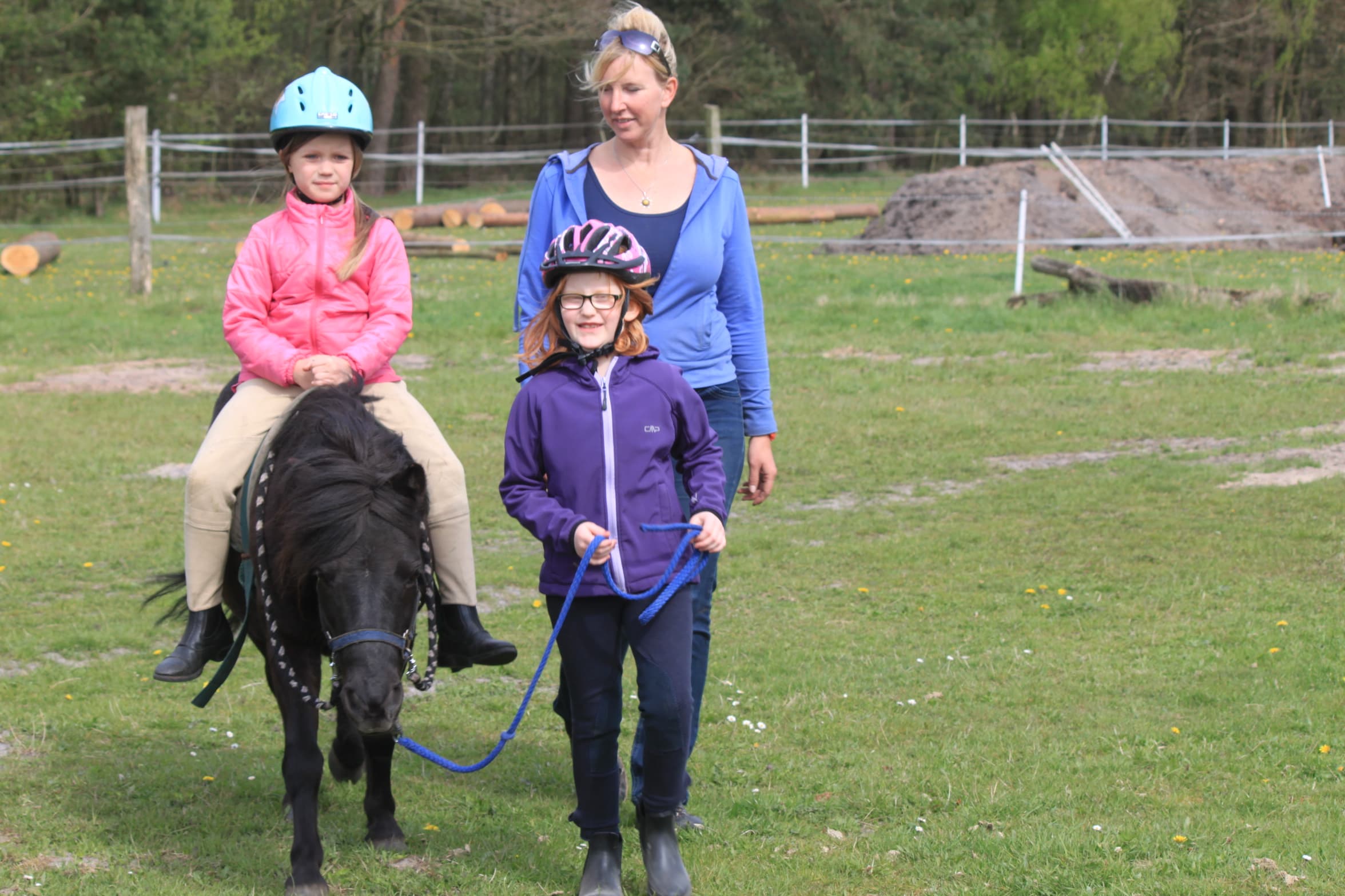 Pony Balou der Kleinen Farm und Co in Tostedt