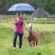 Pony Mellie der Kleinen Farm und Co in Tostedt