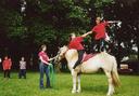 Pferdefreizeit bei der Ferienwohnung Reiterhof Bleckmar