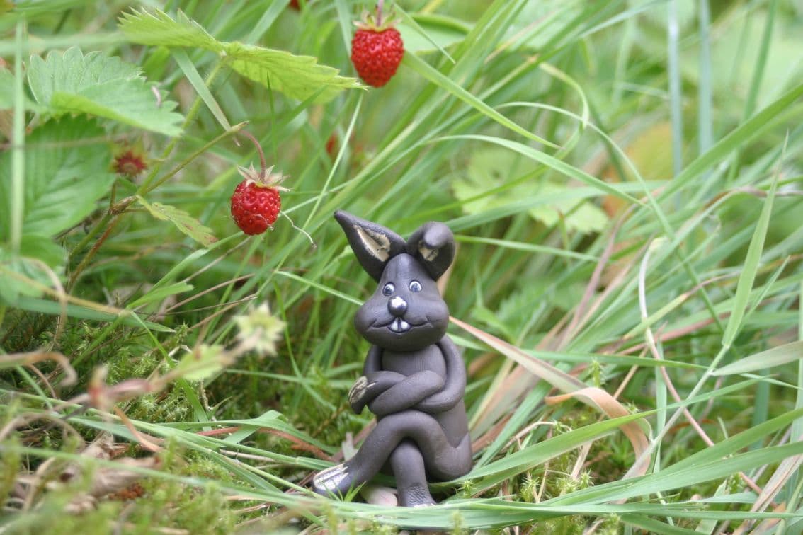 Ferienwohnung Am Hasenberg