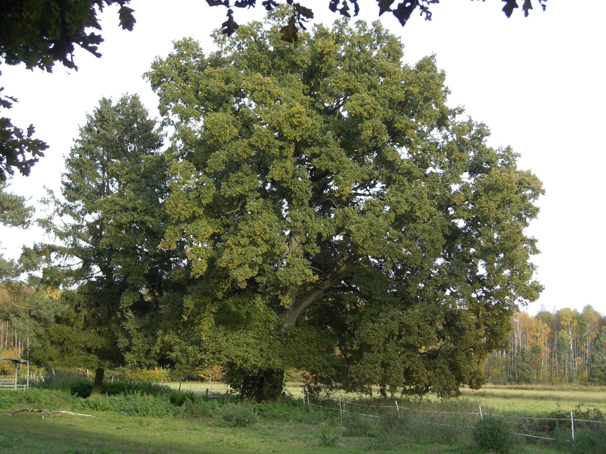 Ferienwohnung Am Hasenberg
