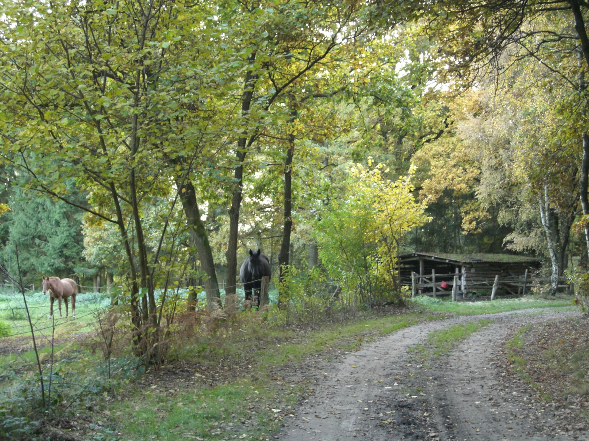 Ferienwohnung Am Hasenberg