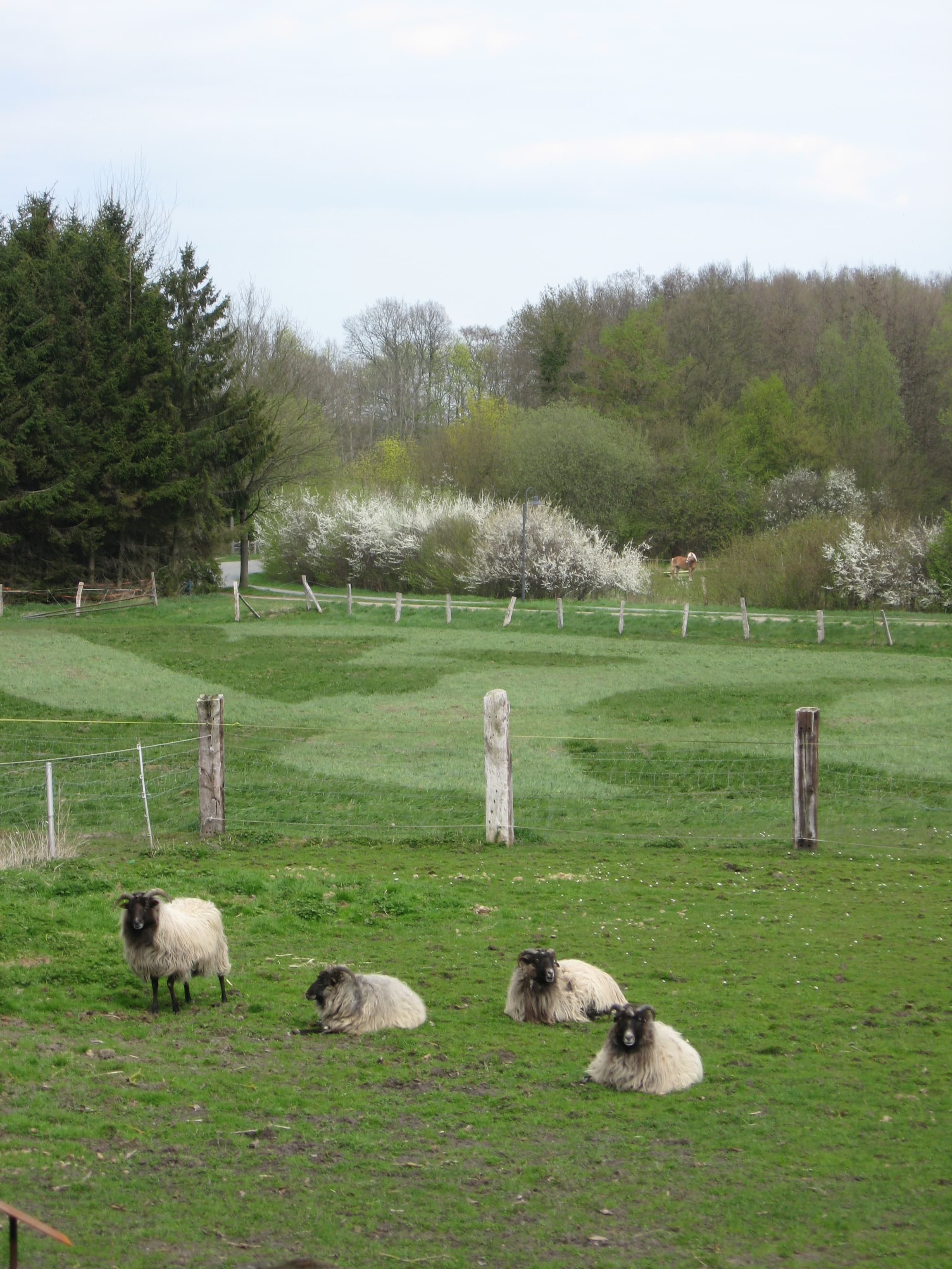 Frühling 2011, Besuch von Frauke Rainer