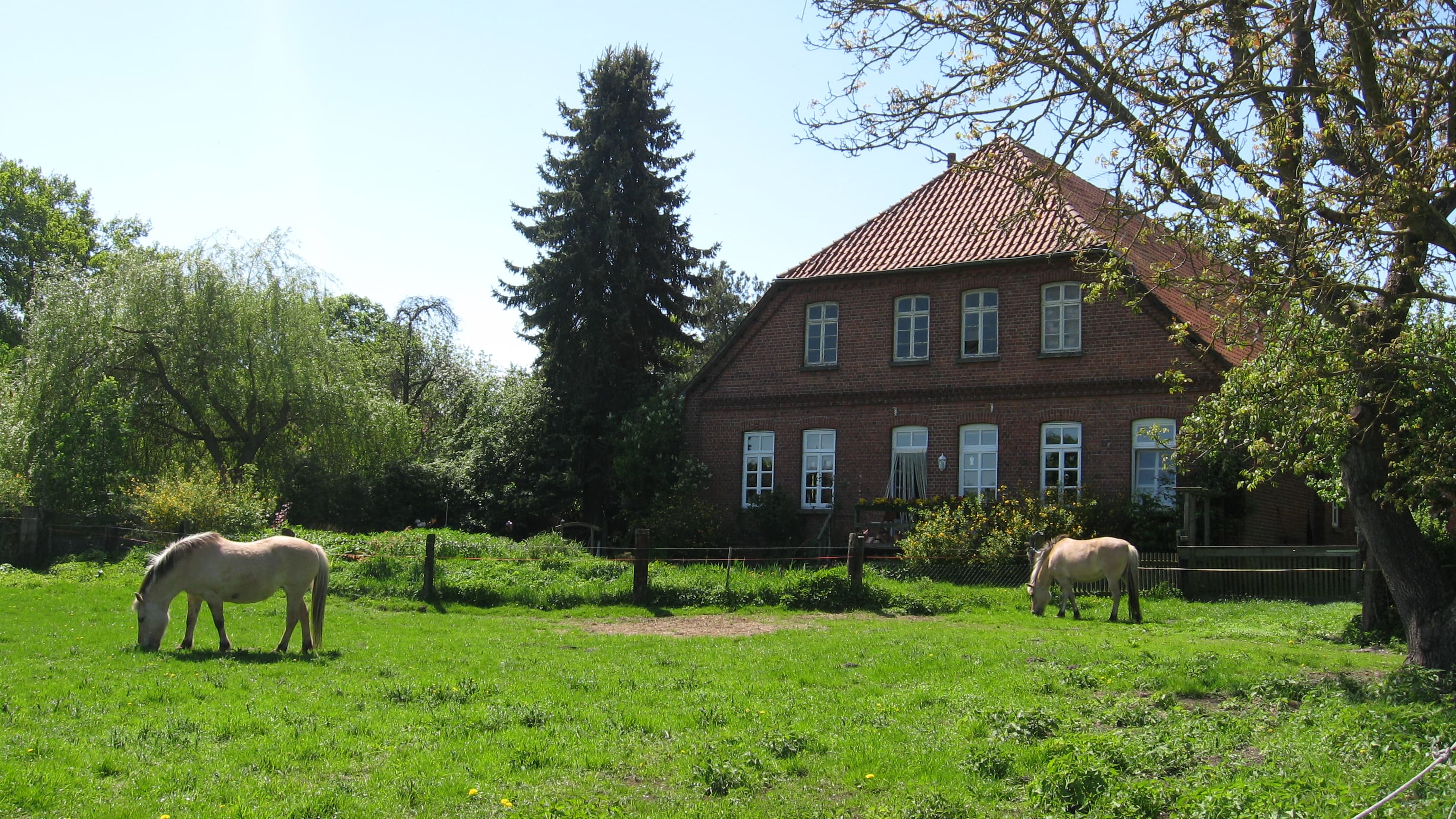 Stine und Fina auf Hof Bollerbü