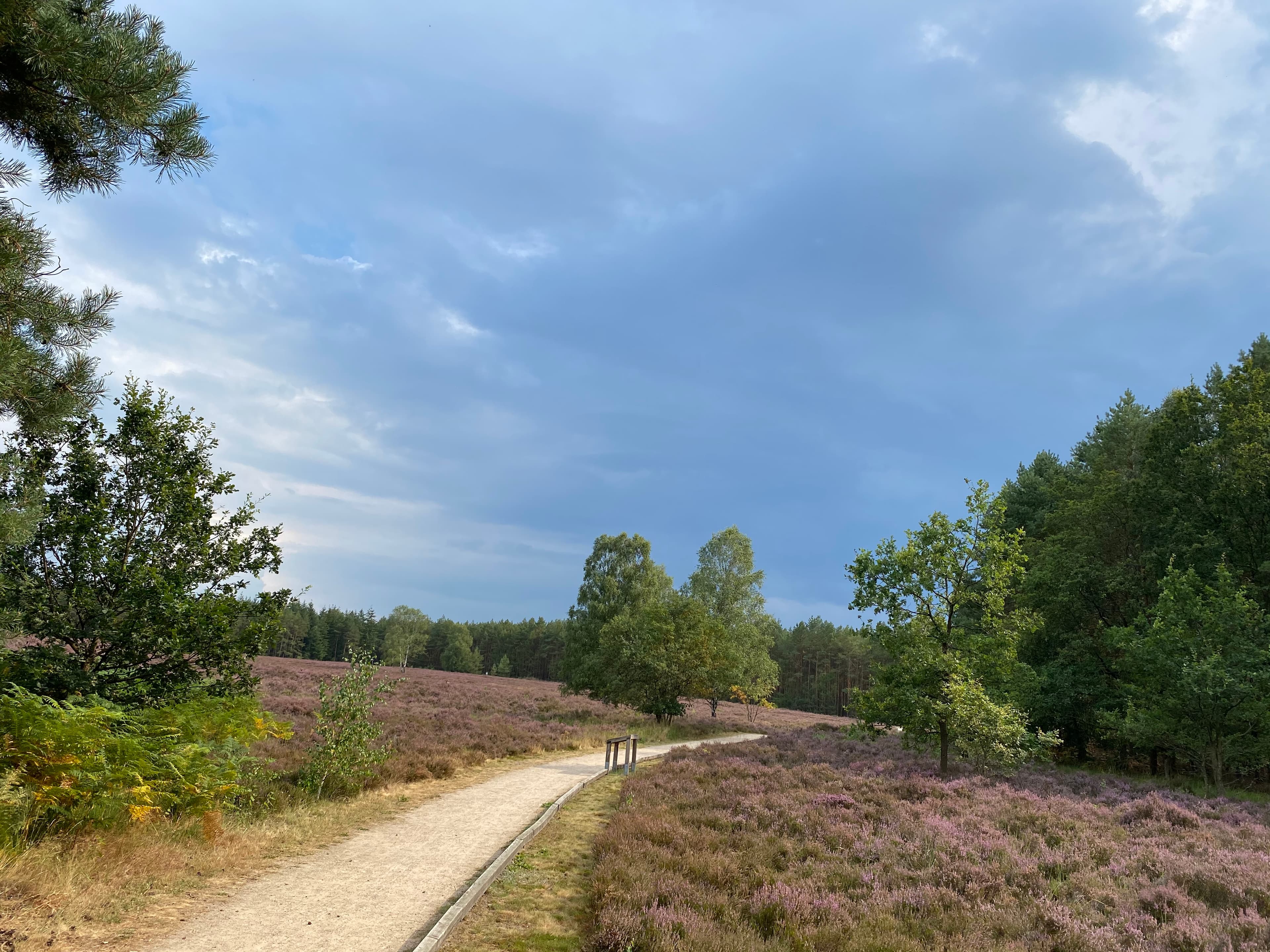 Wanderwege in der Nähe vom Ferienhaus Südheide 2.0