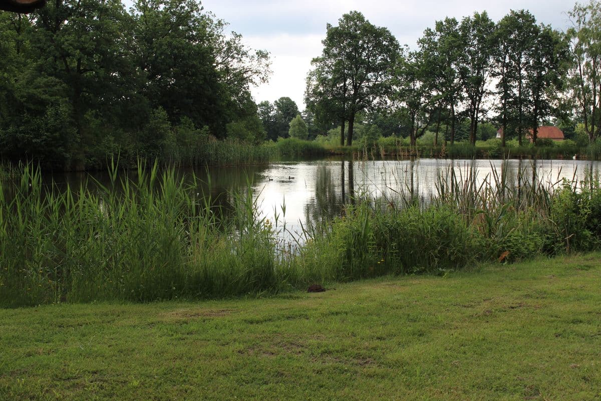 Mühlenteich mit Bäumen Zum Dorfkrug