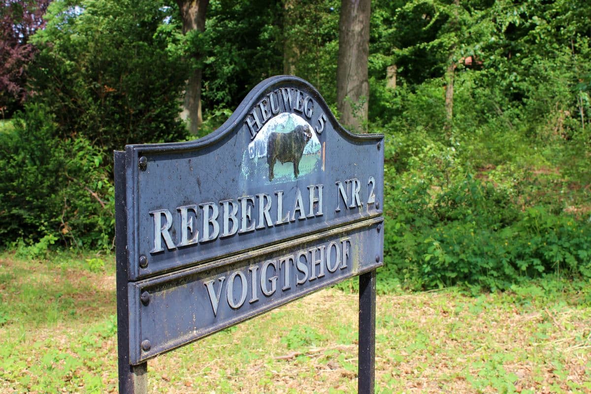 Voigtshof in Rebberlah bei Eschede