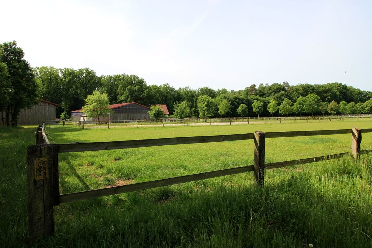 Weiden und Reithalle auf dem Voigtshof