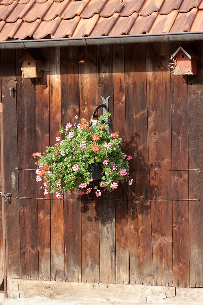 Ferienwohnung Bußmann