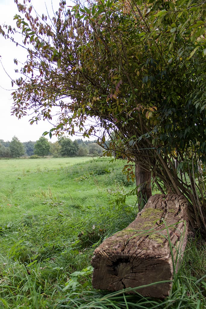Ruhe genießen an der Ferienwohnung Bußmann