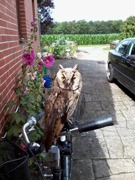 Ferienwohnung Örtzetal