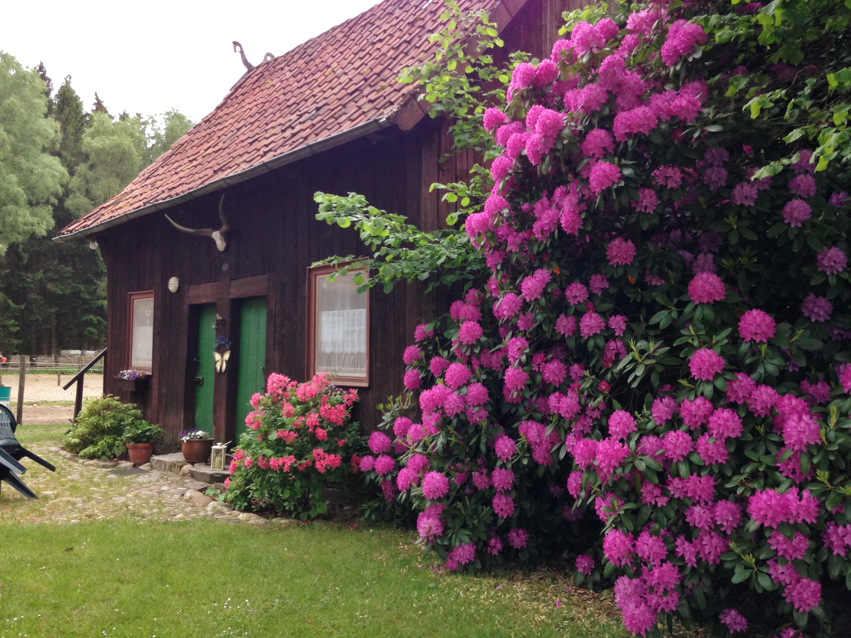 Reiterhof Winandy