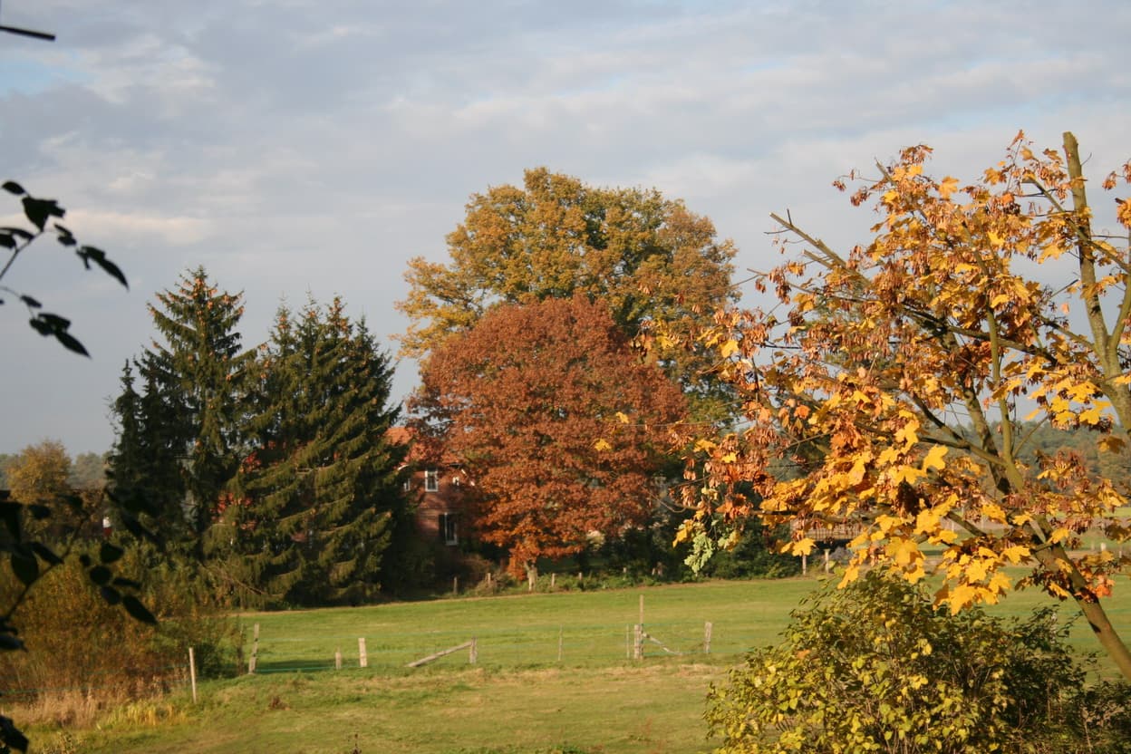 Herbstimpressionen