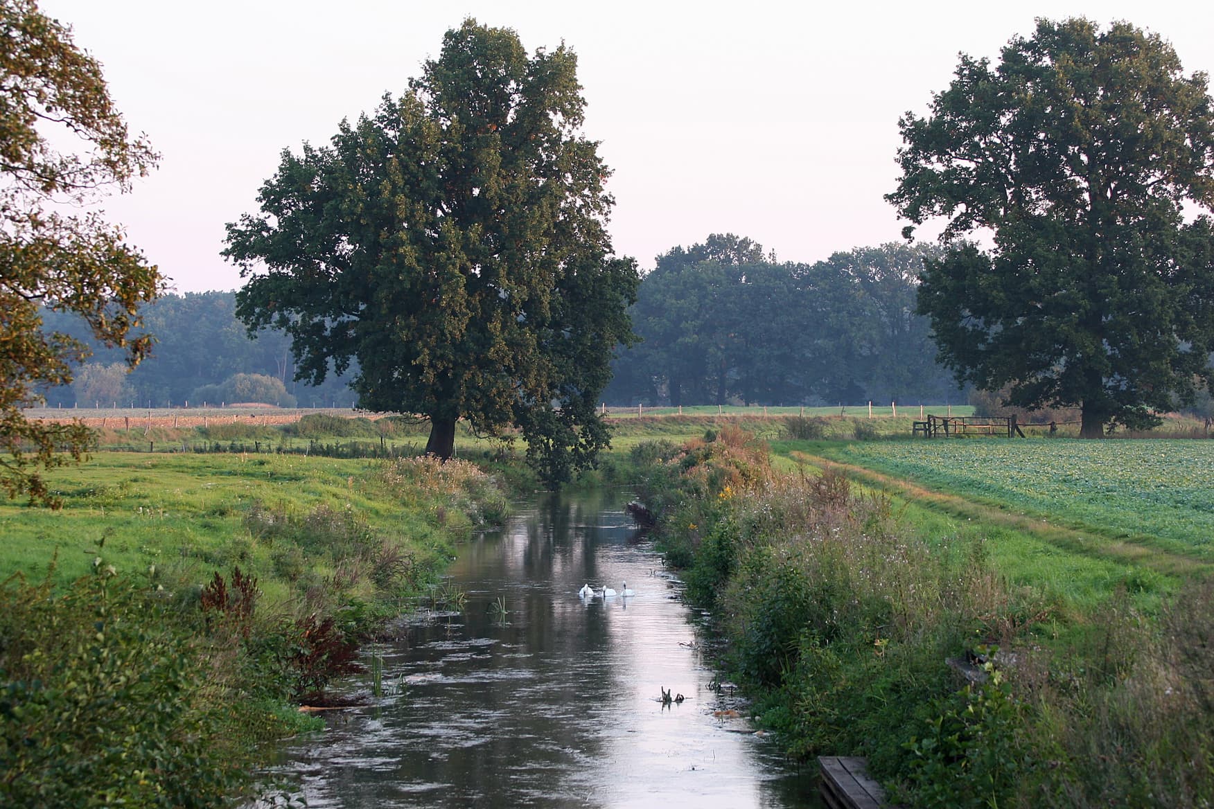 Fuhsekanal