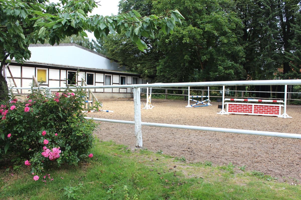 Springplatz Reiterhof Witthof