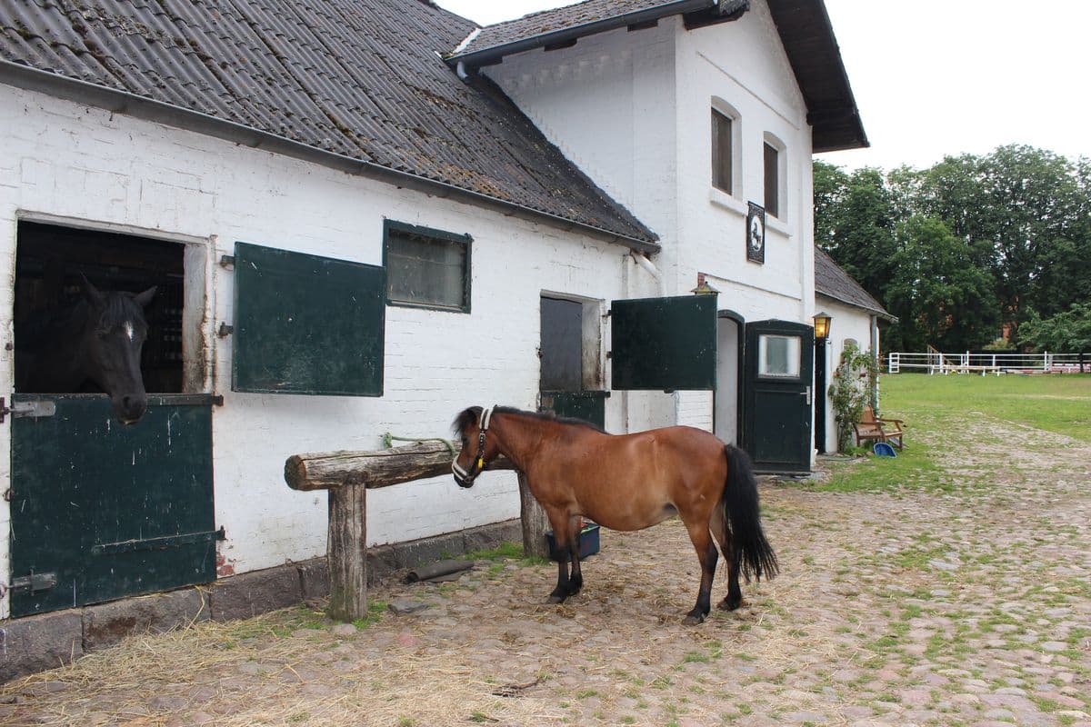 Anbindestelle Reiterhof Witthof