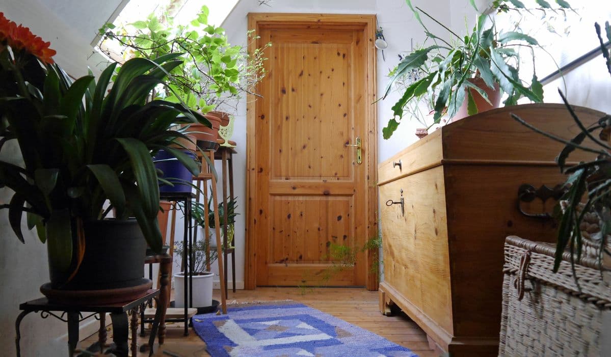 Ferienwohnung Schwein gehabt