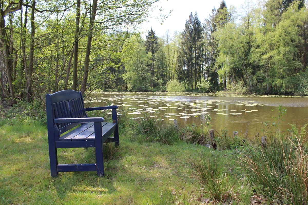 Teich Scharnebecks Mühle: Ferienwohnungen