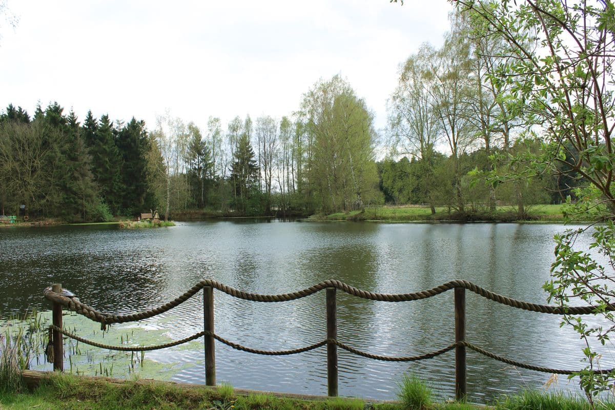 Scharnebecks Mühle: Ferienwohnungen