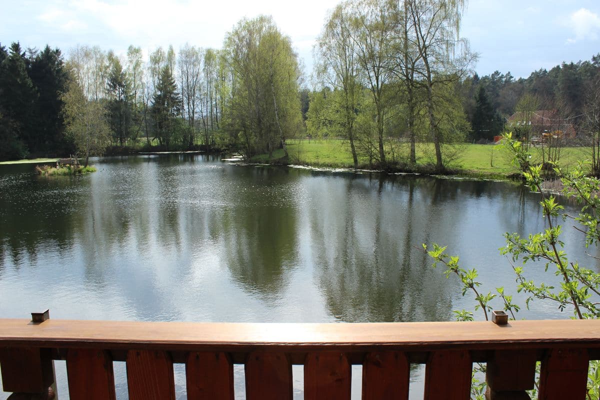 Ausblick Ferienwohnung oben Scharnebecks Mühle: Ferienwohnungen